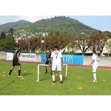 Fussball-Tennisset Naturrasen