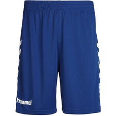 Core Poly Shorts