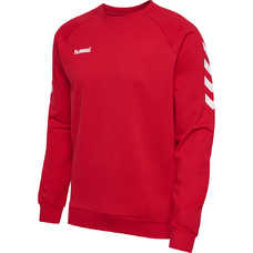 GO Cotton Sweatshirt Kids