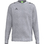 CMPT Wings Sweatshirt graumelange