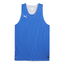 teamJAWS Reversible Jersey electroroyalpumawhite