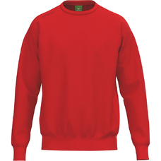 TS Sweatshirt-2434693