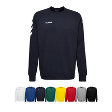 Set van 14 Go Cotton Sweatshirts Kids incl. bal en bedrukking