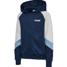 hmlJR LOOSE BLOCKED ZIP HOODIE-2423448