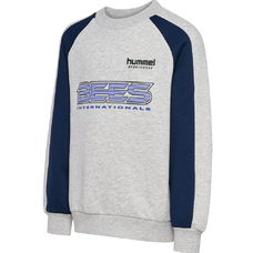hmlJR OVERSIZED ICONIC CREW BEES-2426713