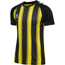 hmlMATCH STRIPED JERSEY S/S-2394511