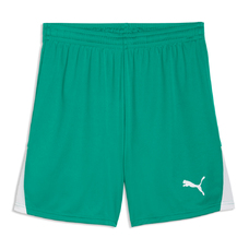 teamLIGA26 Shorts Jr-2444249
