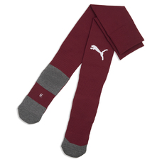 teamLIGA26 Socks Core-2444443